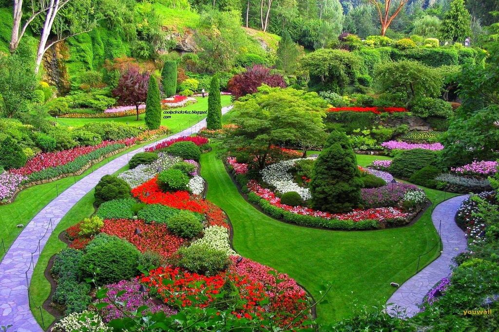 Landscape Garden